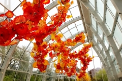 Greenhouse flowers