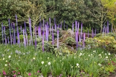 Purple spikes